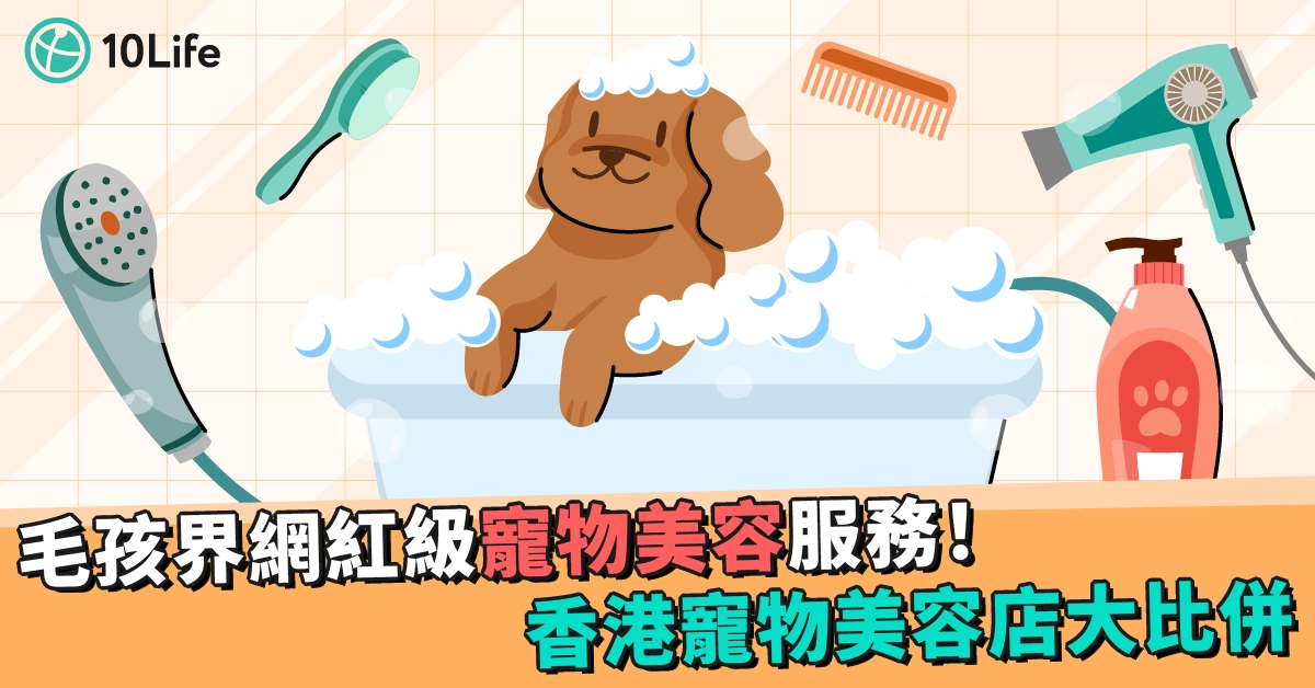 毛孩界網紅級寵物美容服務！香港寵物美容店大比併