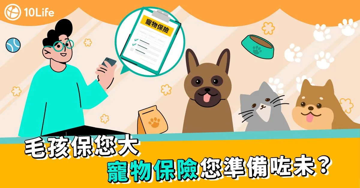 香港寵物保險比較2023 保障、保費全披露 | 10Life